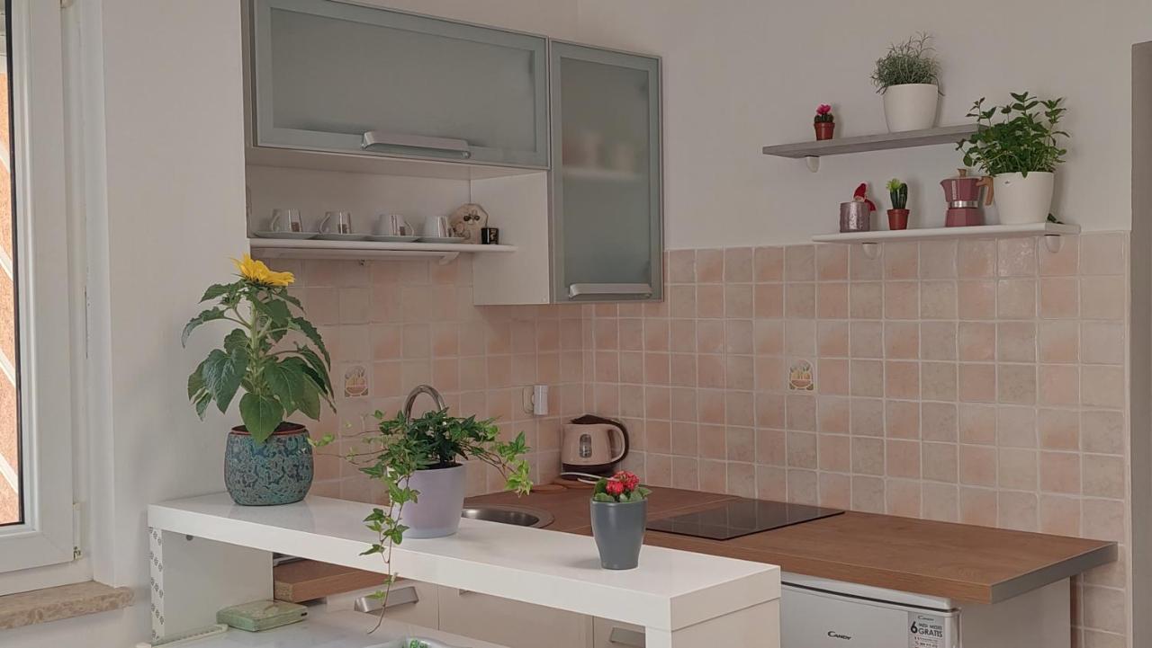 Studio 7Even Ground Floor بولا المظهر الخارجي الصورة